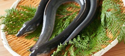 Vpzza5dhxzbxdm Vpzza5dhxzbxdm