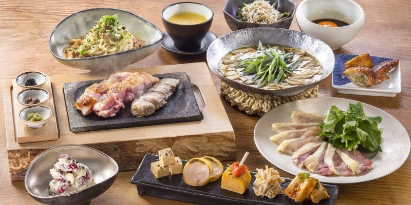 地鶏のしゃぶすき ～全9品～＋スタンダード飲み放題