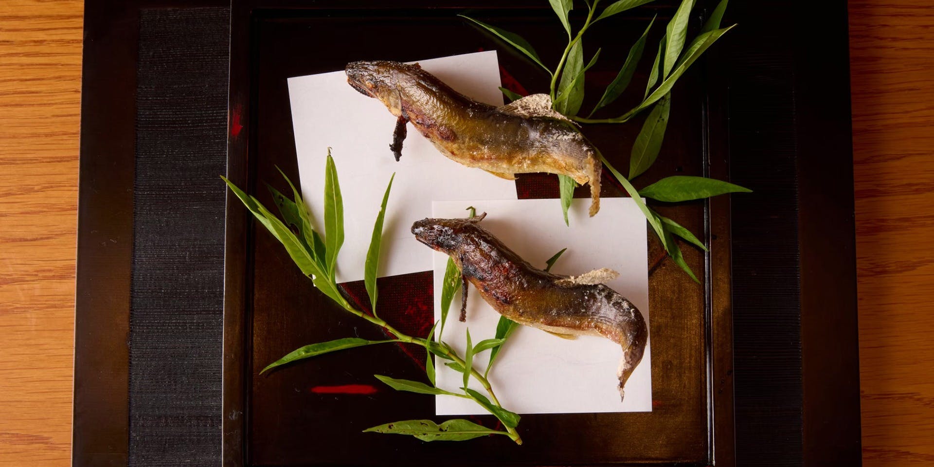 御料理 こう太（こうた）