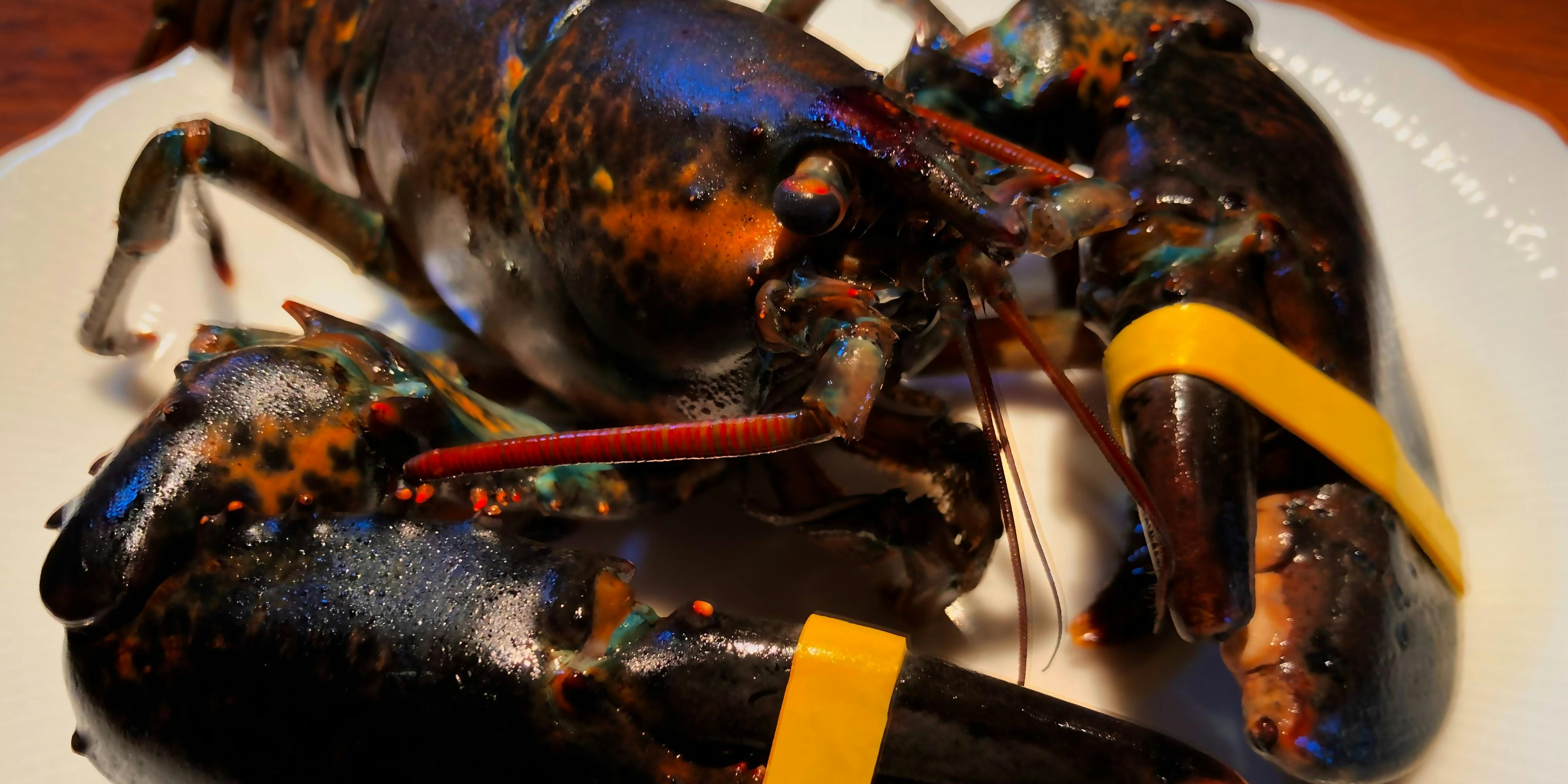 ステーキ割烹・鉄板料理　けんぶろ（KenBlo）