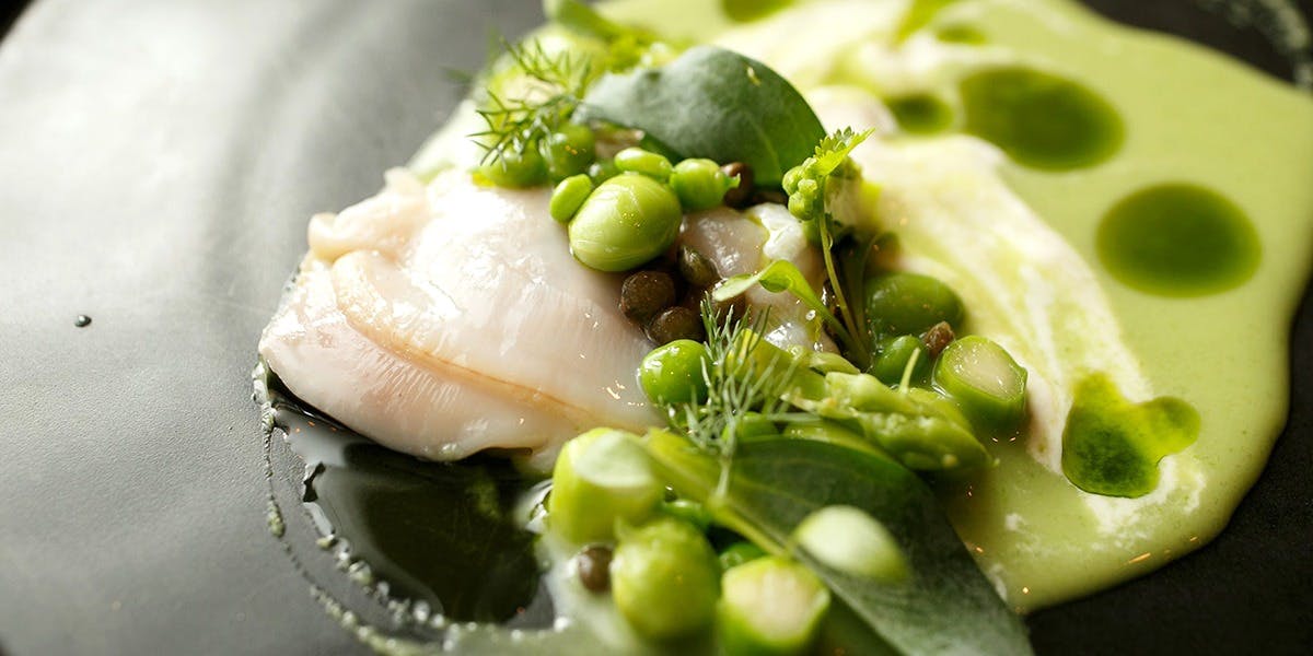 セルサルサーレ - 画像3