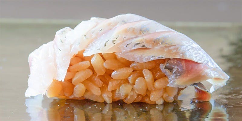 博多 鮨 まつもと