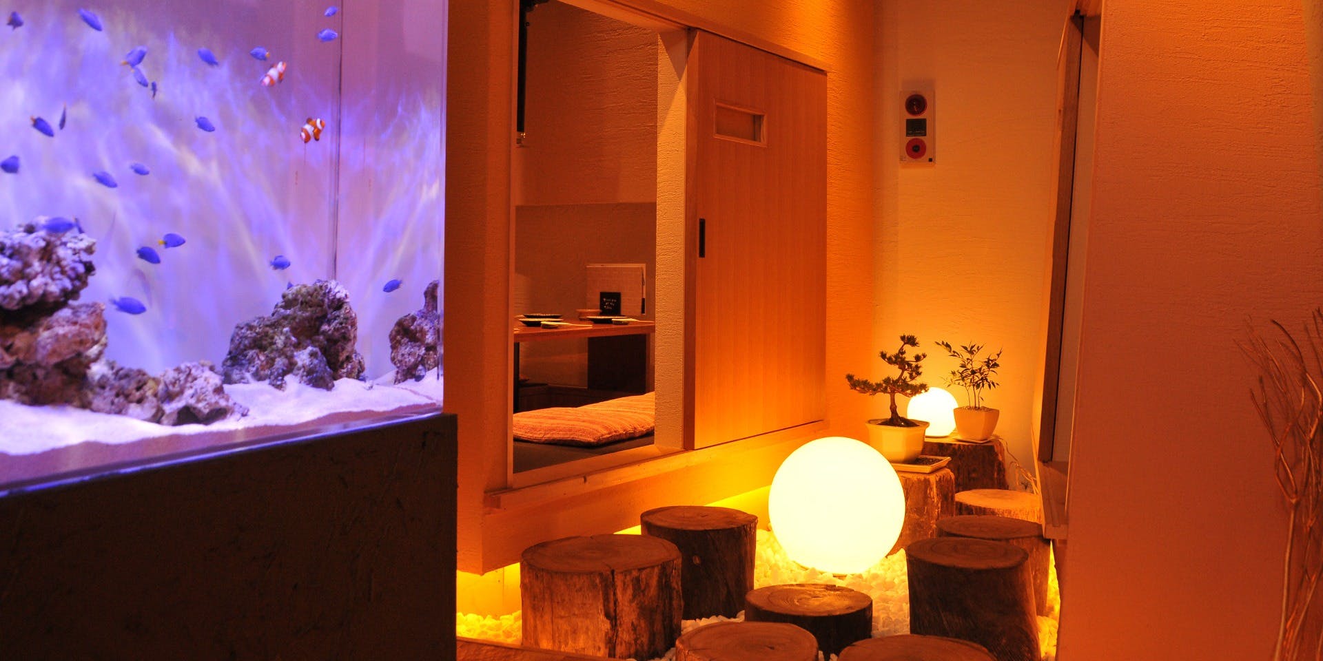 炭火焼肉 にくたらし 熊本上乃裏店 - 画像4