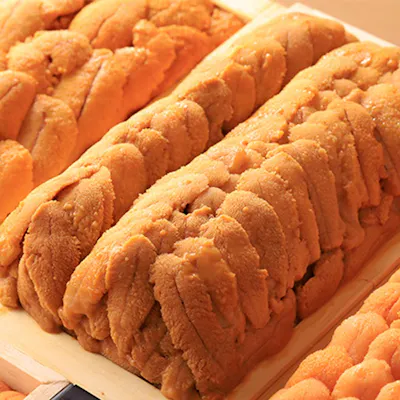 活きた馳走を握る。“食材”にこだわる正統派寿司をいただく。