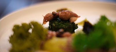 三鷹駅周辺ディナー 30件 おしゃれ人気店 絶品ディナーグルメ 22年 一休 Comレストラン 三鷹駅周辺ディナー 30件 おしゃれ人気店 絶品ディナーグルメ 22年 一休 Comレストラン