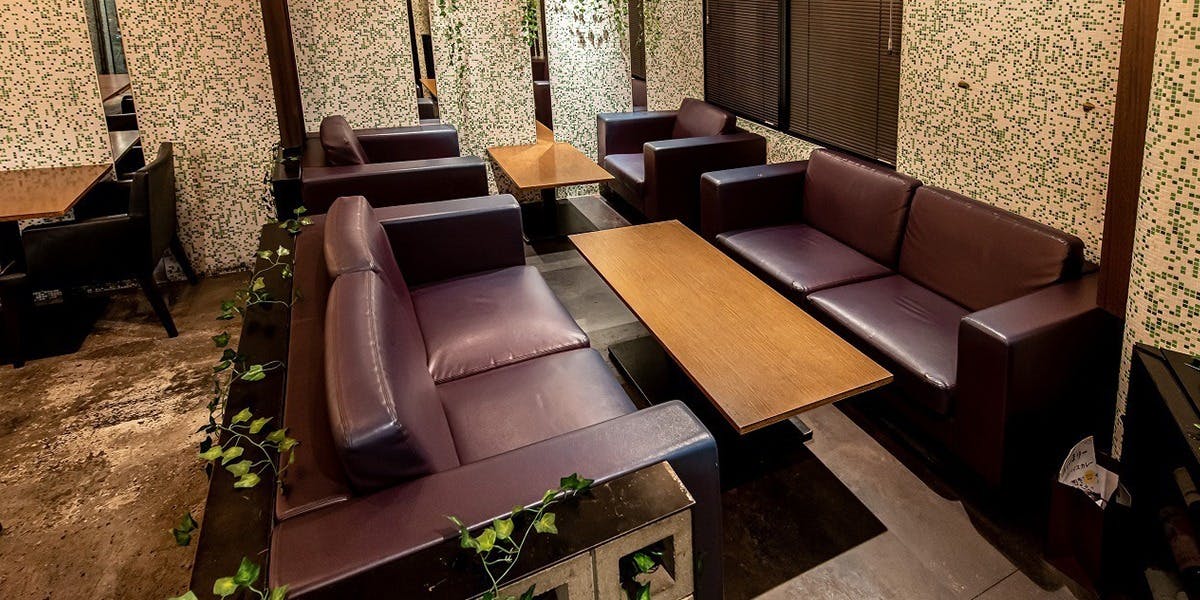 Madre ハーブとスパイス料理のワイン食堂（マドレ）