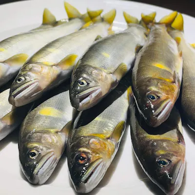 旬の厳選食材で一期一会のお料理を