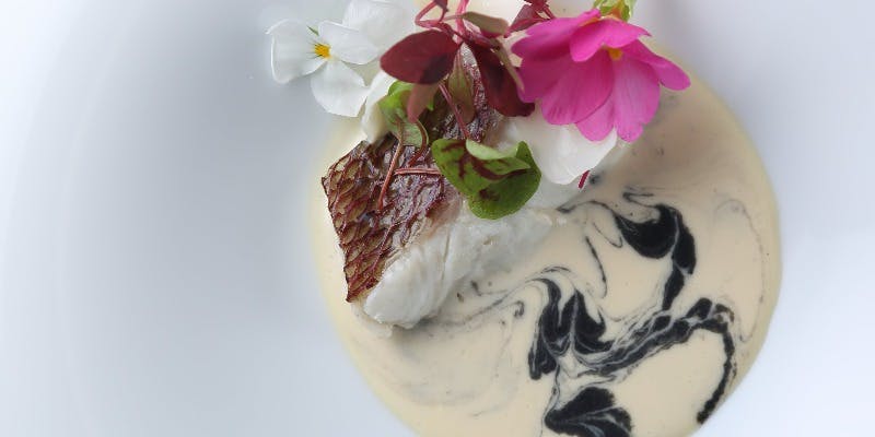 【土日祝限定】お肉料理、お魚料理のWメインがついたコース料理全8品