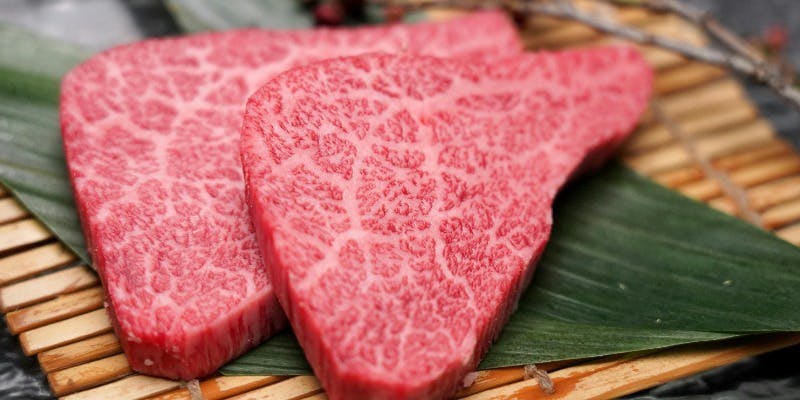 【煌～KIRA】コース（全11品）絶品看板メニューもヒレもお楽しみいただける！