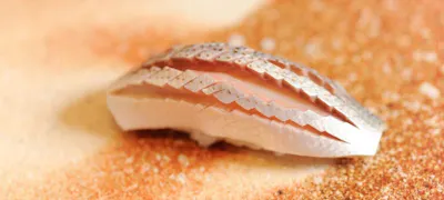 22年 最新 武蔵小山駅周辺の美味しいディナー10店 夜ご飯におすすめな人気店 一休 Comレストラン 22年 最新 武蔵小山駅周辺の美味しいディナー10店 夜ご飯におすすめな人気店 一休 Comレストラン