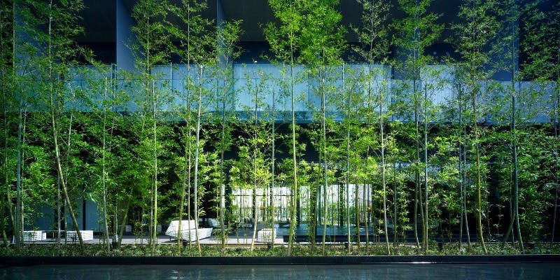 竹彩／ザ・メイビア宮崎 - 画像3