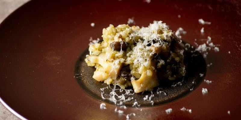 【DinnerB】全9品（カウンター）