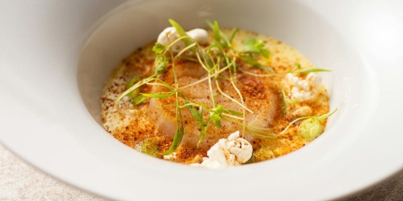 【MenuB】全7品＋お茶のペアリング5種（カウンター席）