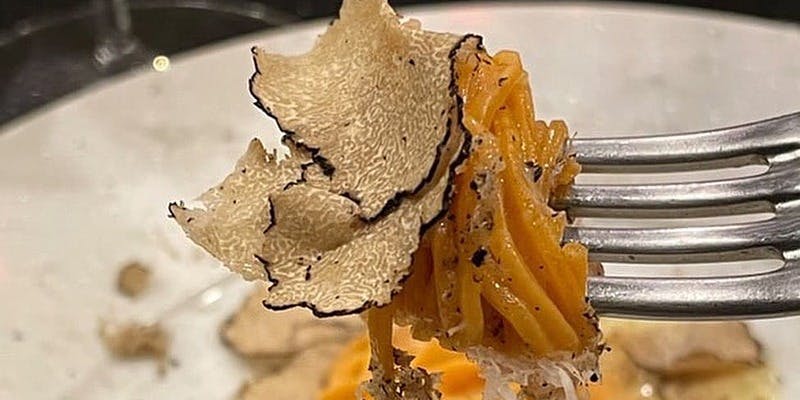 G-Tutto（ジートゥット）