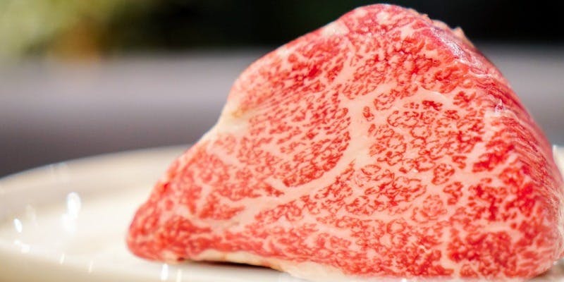 炭火イタリアン The Kumachi