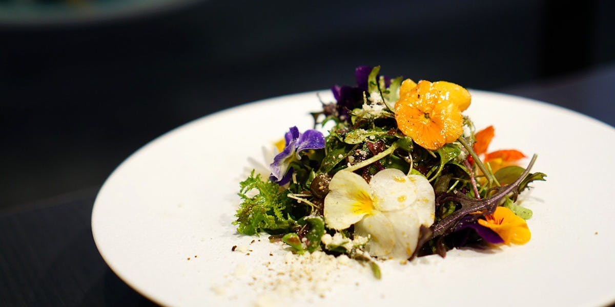 炭火イタリアン The Kumachi