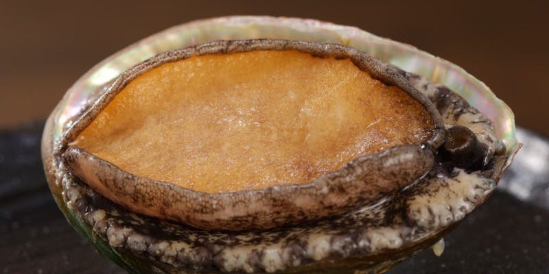 お食事処／ホテル小野浦 - 画像17