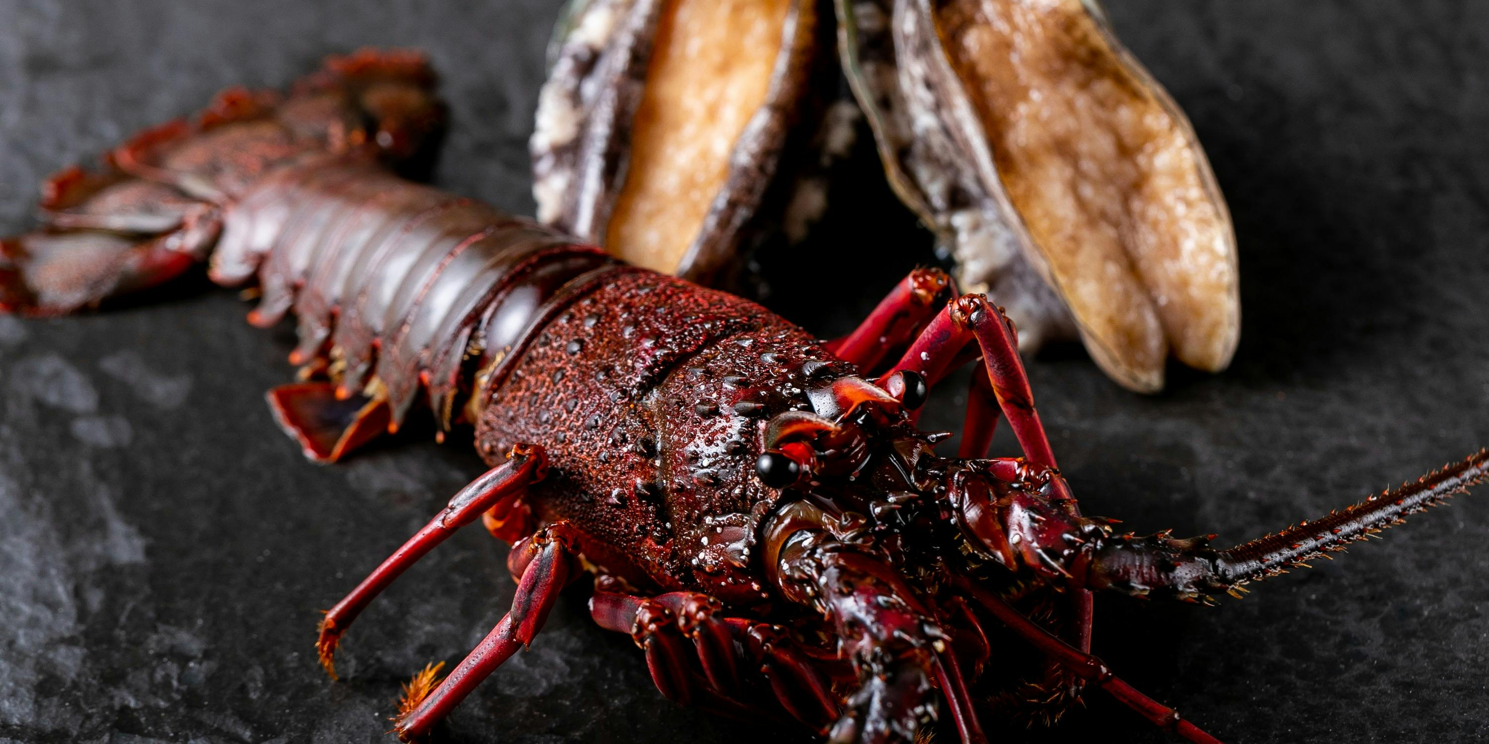 鉄板焼き 大地 - 画像5