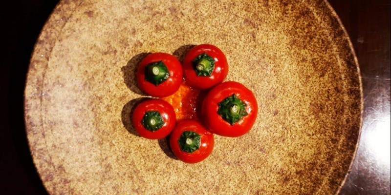 カノーヴァ - 画像13