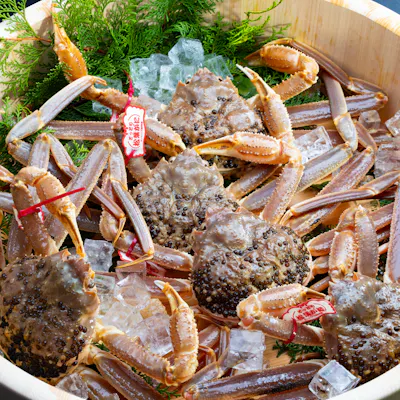 今しか味わえない。最高峰の証、ブランドタグ付き松葉蟹を食す