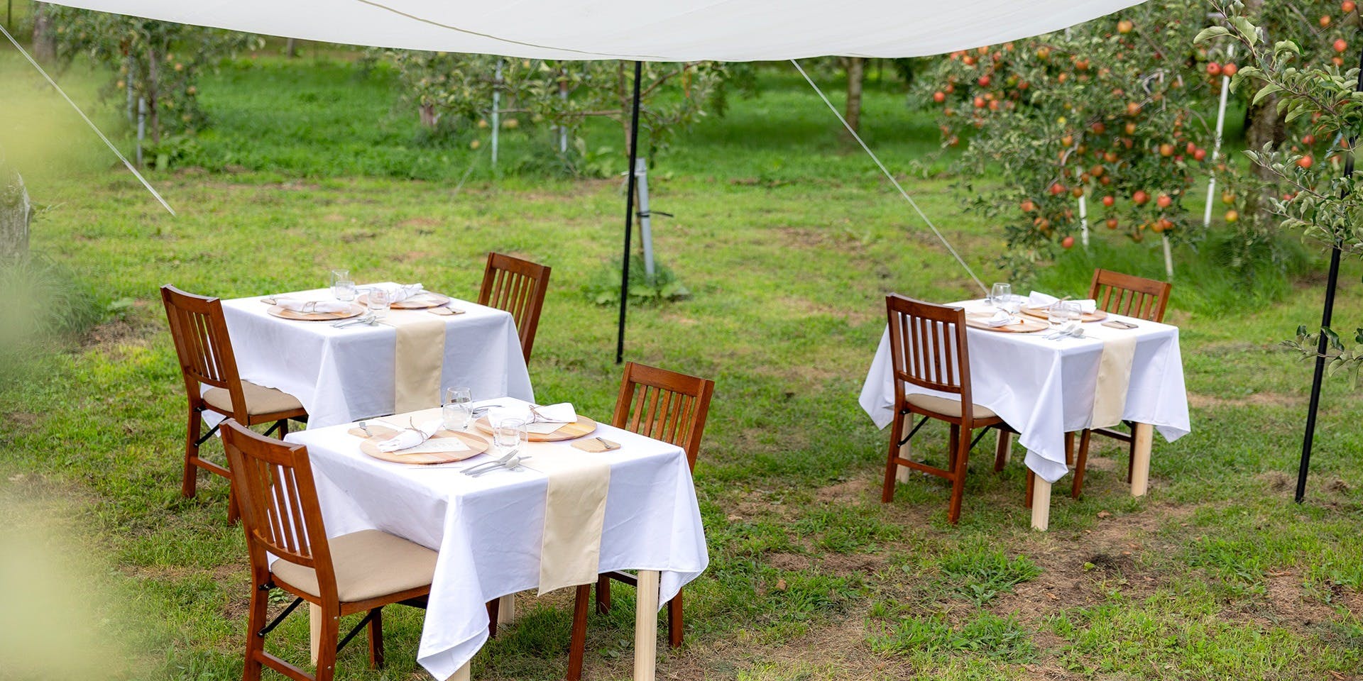 Orchardレストランまつかわ（オーチャード）