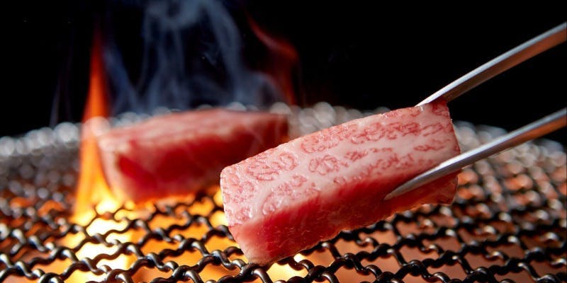 12月限定コース ～乾杯ドリンク付～