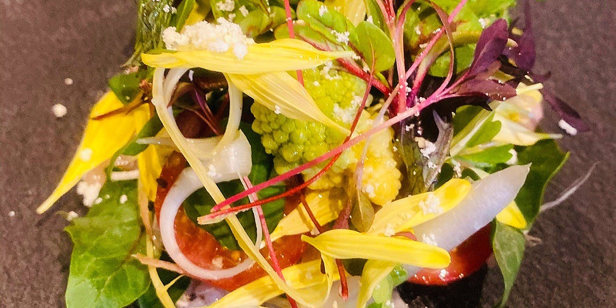 Ri’oro kanegawa（リオーロ カネガワ【旧店名】戸田料理LABO）