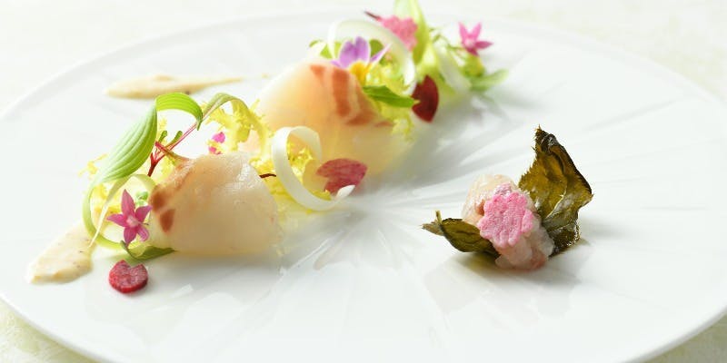 新春 バクテラス 新横浜プリンスホテル】制限のない春を思いっきり楽しむ！さくらを