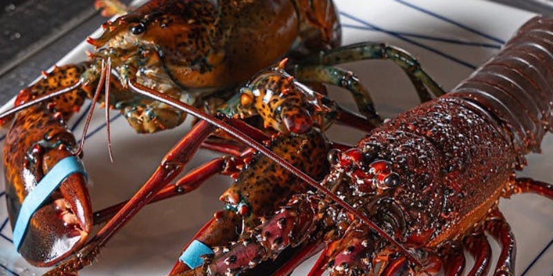 【ロイヤルコース】＜2名様・4名様限定＞