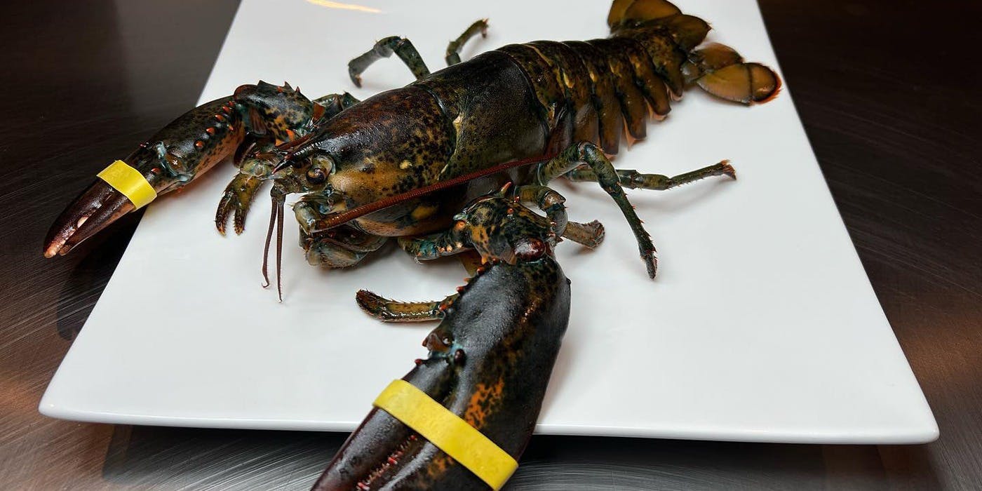 鉄板 十 - 画像5