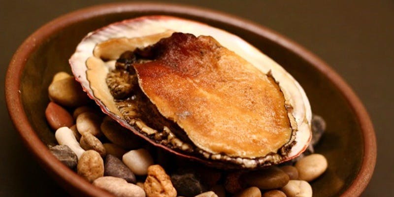 食楽 よしたけ - 画像4