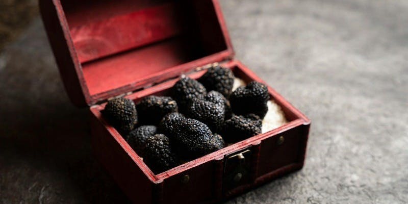 【Gourmandコース】トリュフ、キャビア等の高級食材、シェフ厳選のお肉までお楽しみいただけるコース 全8品