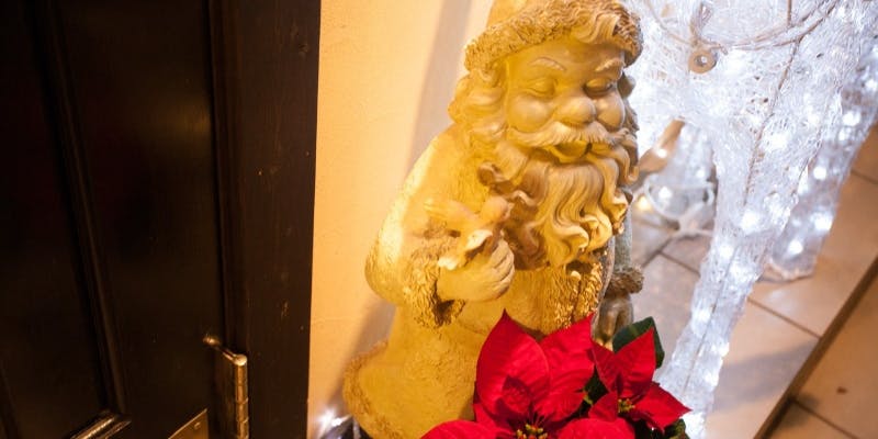 【Xmas2025】クリスマスの特別ランチコース