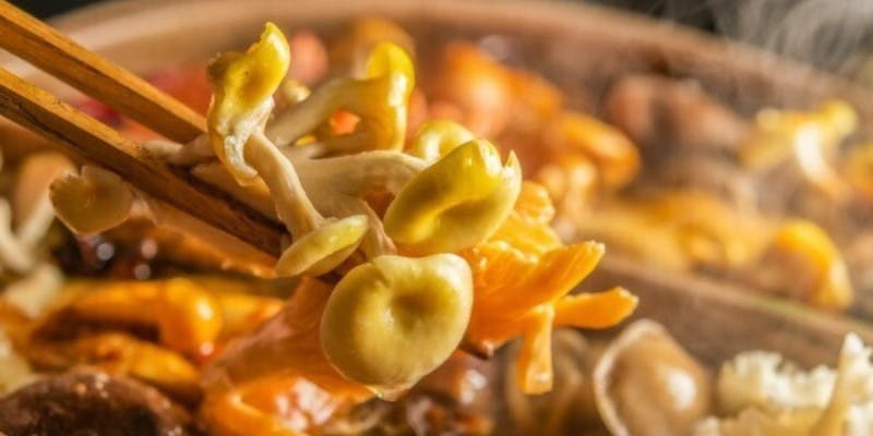 裏の山の木の子 渋谷（Urano yamano kinoko）