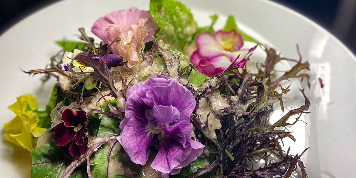 Polyphony（ポリフォニー）