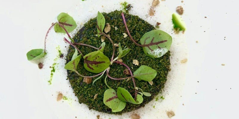 Noeud. × THE CHEF’S - 画像22