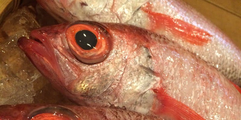 すし処 美月 - 画像9