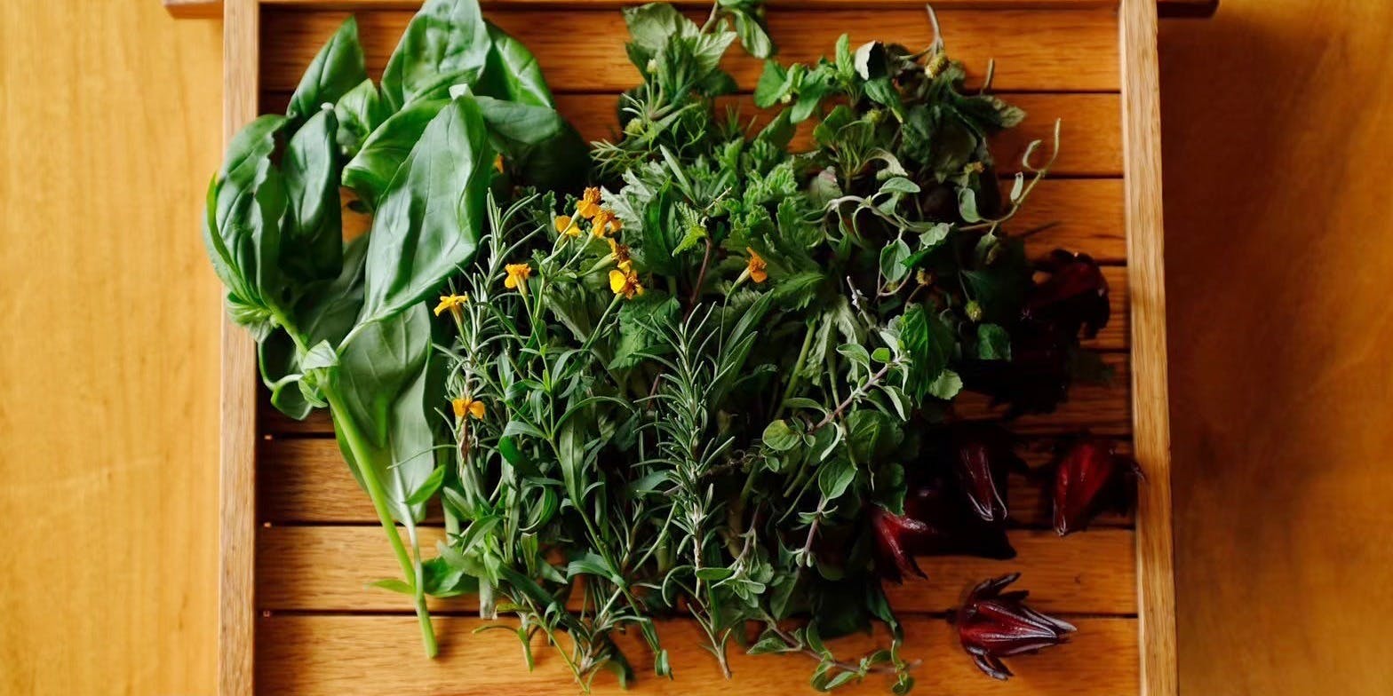 MOSS okinawa／ホテル ストレータ 那覇 - 画像9