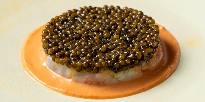 ※ダイヤモンド会員限定　豪華6品のフルコース＋チョコレートお土産付