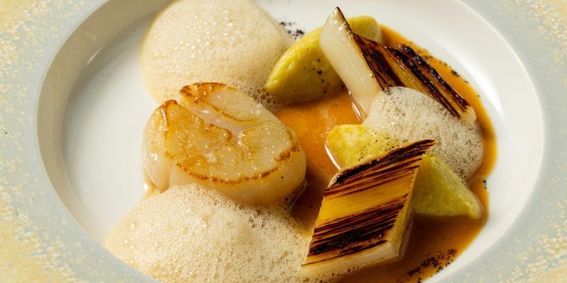 ※ダイヤモンド会員限定　選べる4品のコース＋チョコレートお土産付