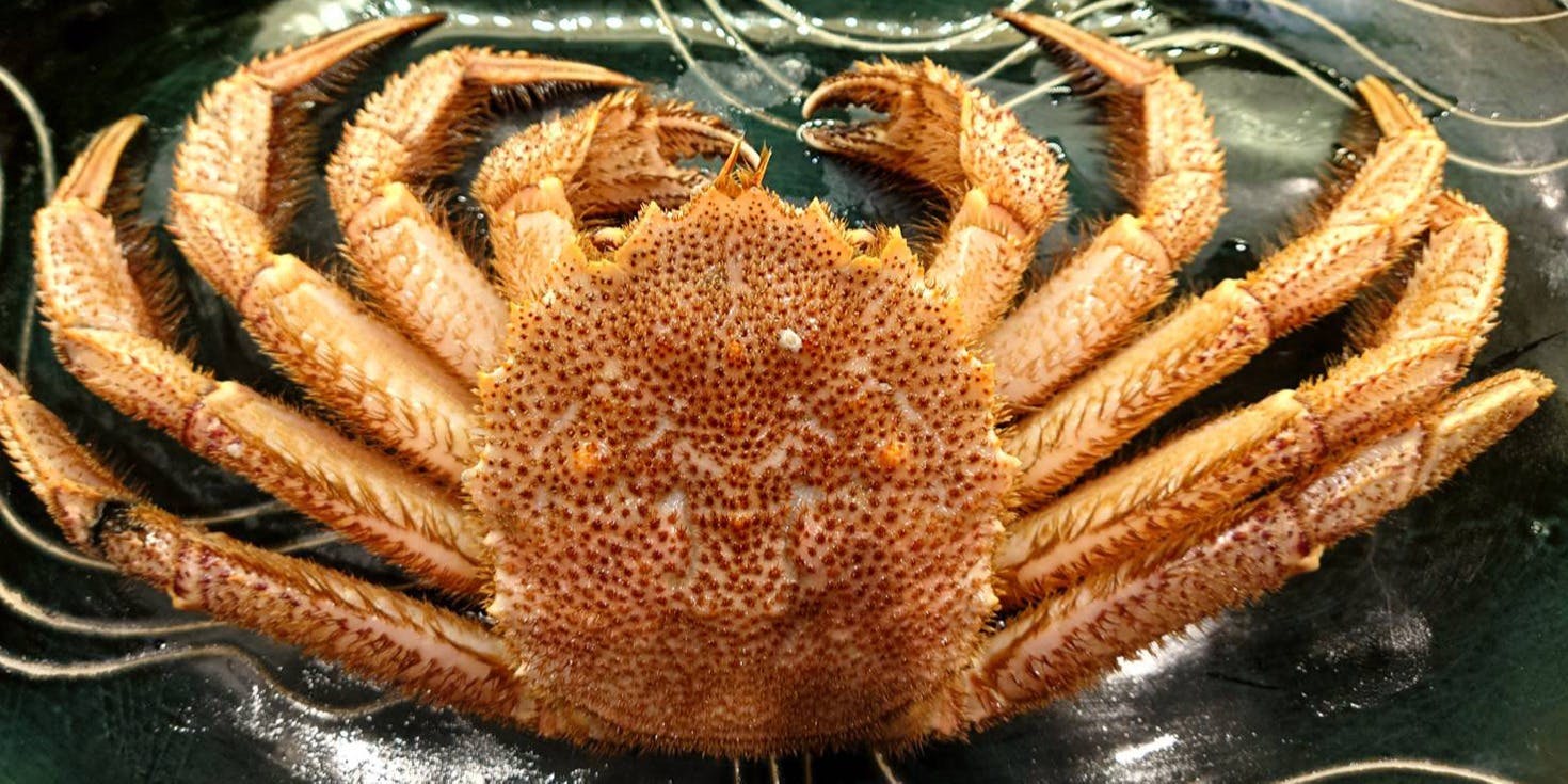 活 かに市 - 画像5