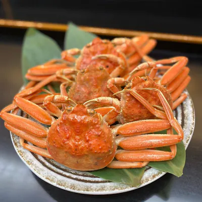 素材そのものの持ち味を活かした料理の数々