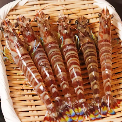 鮮度の良い食材にこだわり、海老は生きたままの状態で捌き、天ぷらにしています。