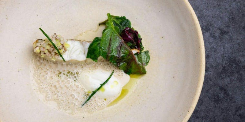 SMAAK（スマーク）