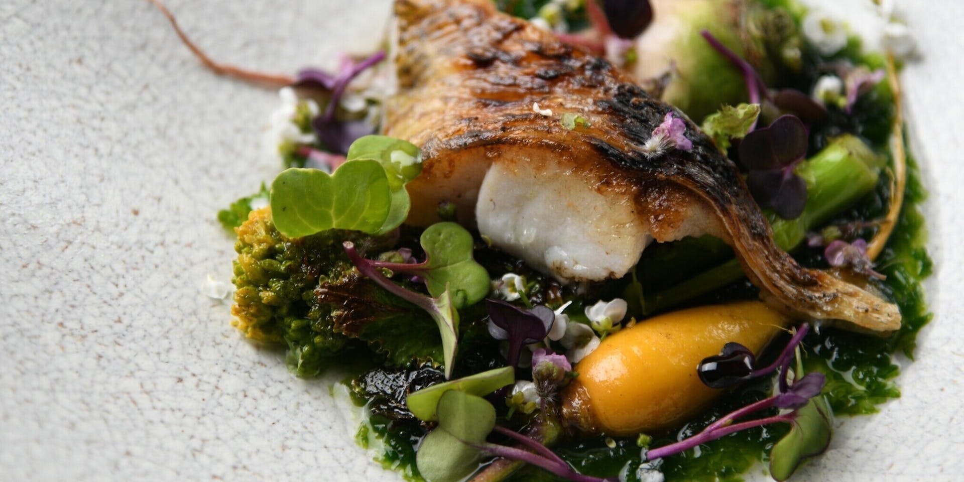 ラ ヴィオレッタ（La Violetta）