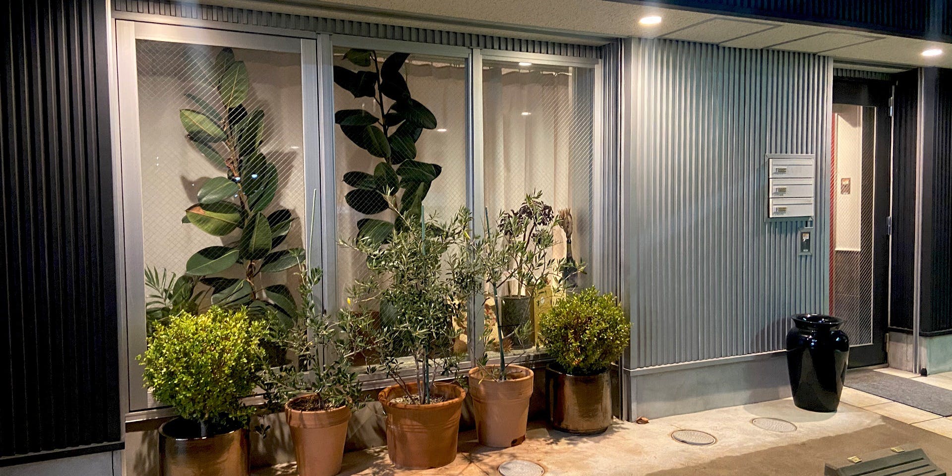 La Violetta - 画像4