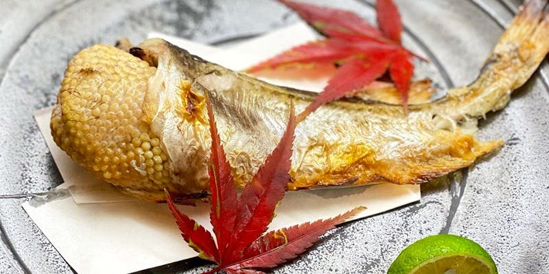 寿司割烹 小松