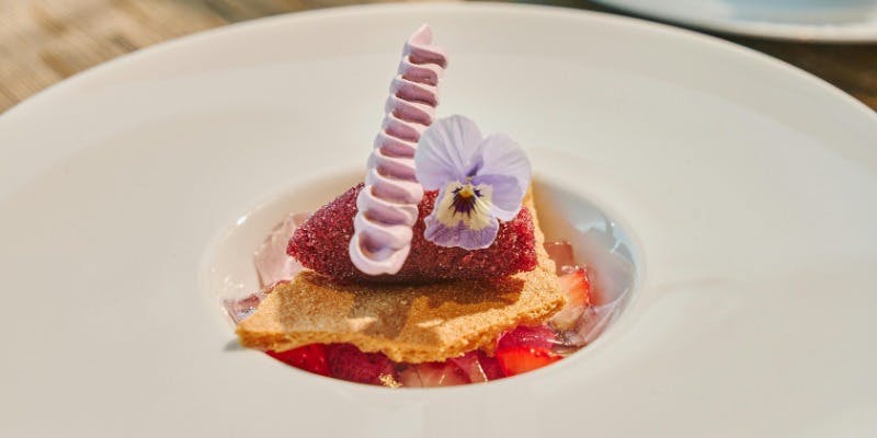 年末年始限定ディナコース：Festive