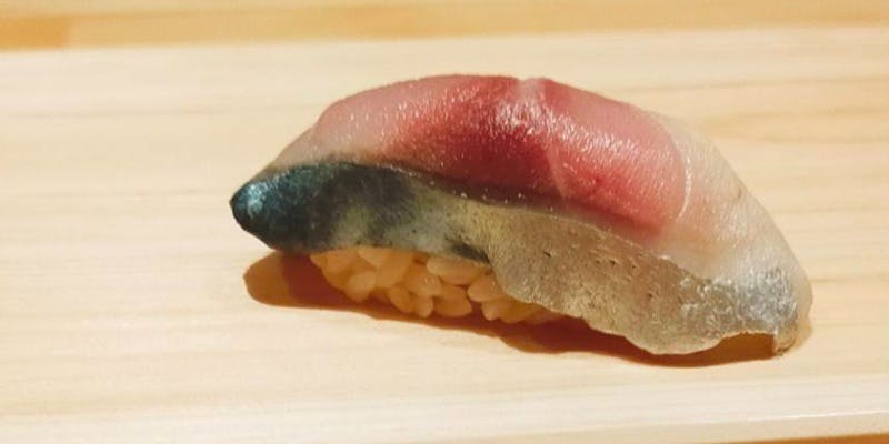 鮓樹