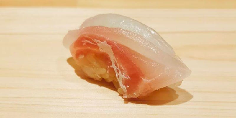 鮓樹